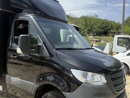 Mercedes-Benz 419 CDI