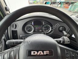 DAF XF 440 FT Lowliner