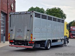 Scania R420 4x2 - Finkl livestock 16.8M2 - Retarder - ...