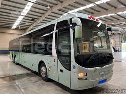 Man Lion's Regio