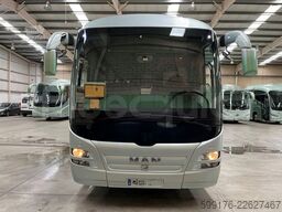 Man Lion's Regio