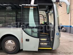 Man Lion's Regio