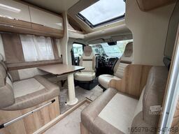 GIOTTILINE Therry T37