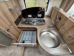 GIOTTILINE Therry T37