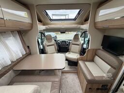 GIOTTILINE Therry T37