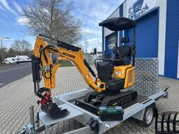 Berger Kraus BK1350JSR mit Kubota Motor + Schwenkarm