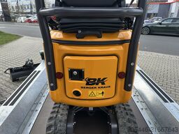 Berger Kraus BK1350JSR mit Kubota Motor + Schwenkarm