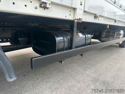 MAN TGL 12.220 * ACC-SPUR-ASST * BORDWAND * LBW *