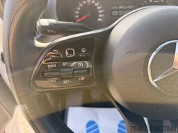 Mercedes-Benz Sprinter 319 L2H2 V6 3,0L AHK-3,5T Kamer