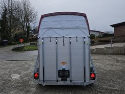 Böckmann Champion Esprit