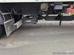 Renault 520T High 6x2 livestock truck with HFR trailer