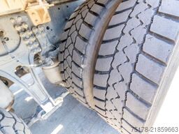 IVECO X-WAY 460
