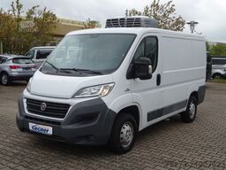 FIAT Ducato 115PS Teifkühlkasten L1H1 Kamera