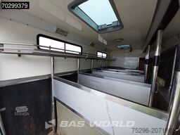 DAF XF105.410 XF 4X2 NL-Truck JK Horsetruck 6 Horse...