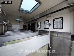 DAF XF105.410 XF 4X2 NL-Truck JK Horsetruck 6 Horse...