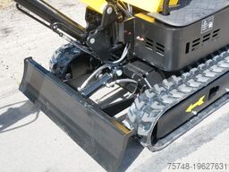  Minibagger Microbagger W10