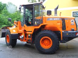 DOOSAN DL250-3 /Reifen neu/Partikelfilter Stufe IIIB