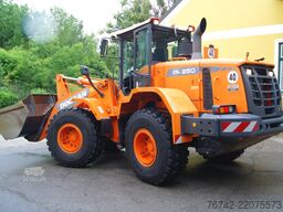 DOOSAN DL250-3 /Reifen neu/Partikelfilter Stufe IIIB