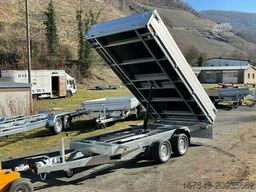 SARIS K3 356 184 3500 - elektrisch mit 3.500kg