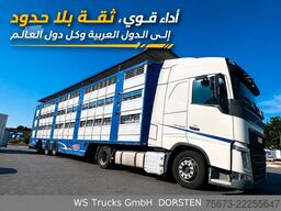 VOLVO FH 460 Mega mit Finkl 3 Stock Hubdach