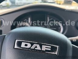 DAF XF 460 FT  Space Cup Spoiler Fender