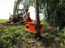 Westtech Woodcracker CL260 Fällkopf Fällgreifer