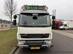 DAF LF 250 12.250