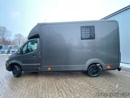 MERCEDES-BENZ STX Sprinter GG 4,100KG Haras Hengste