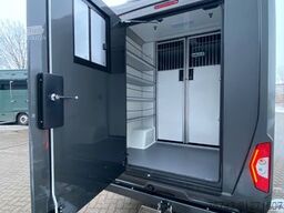 MERCEDES-BENZ STX Sprinter GG 4,100KG Haras Hengste
