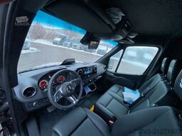 MERCEDES-BENZ STX Sprinter  GG 4,100KG  Haras Hengste