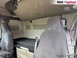 MAN TGX 18.520 4x2 BL SA