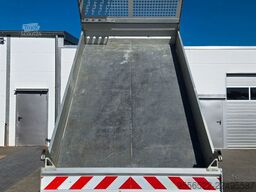 FORD Transit Kipper 470 Kamera/3,