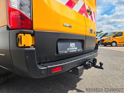 FORD Transit Kasten 350 L2H2 AHK/PDC/Einrichtung/Klim