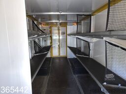 IVECO DAILY 50 C 15 Postkoffer REGALSYSTEM