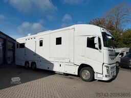 VOLVO FH 540 STX 6 Pferde Dop-POP-OUT, POP+UP NEW VOLL