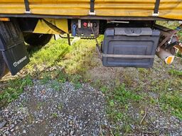 KRONE Gardine Standard, Edscha, Portaltüren