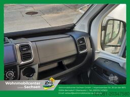 CHALLENGER Van Sport Edition V217