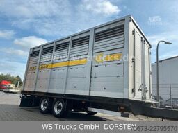  Stehmann 2 Stock