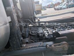IVECO Trakker 450 / 8x8 Allrad / Agrotruck