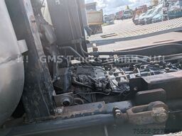 IVECO Trakker 450 / 8x8 Allrad / Agrotruck