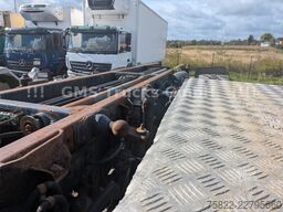 IVECO Trakker 450 / 8x8 Allrad / Agrotruck