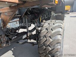 IVECO Trakker 450 / 8x8 Allrad / Agrotruck