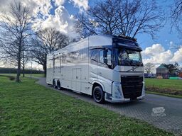 Volvo FH 540 Jong gebrukt 7 paards plus living pop-ot...