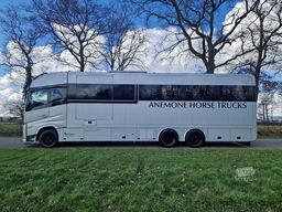 Volvo FH 540 Jong gebrukt 7 paards plus living pop-ot...