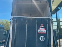 REUTER Big Star 2 Pferdeanhänger Vollpoly 2t
