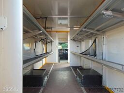 IVECO DAILY 50 C 15 Postkoffer REGALSYSTEM KAMERA