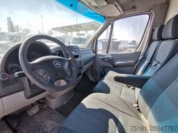 MERCEDES-BENZ Sprinter 313CDI/AT MAXI/ KÜHL/ HEIZUNG