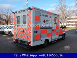 MERCEDES-BENZ Sprinter II 316 CDI/RTW/Klima/Kamera/FN: 37-01