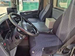 Scania P340  E3 Alu-Latten LBW AHK Alufelgen Blatt Luft