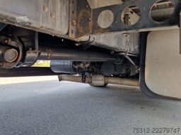 Scania P340  E3 Alu-Latten LBW AHK Alufelgen Blatt Luft